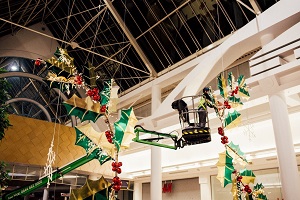 Merry Hill's Christmas is elevated